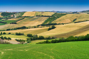 Rural landscape along the road from Fano to Mondavio, Marche