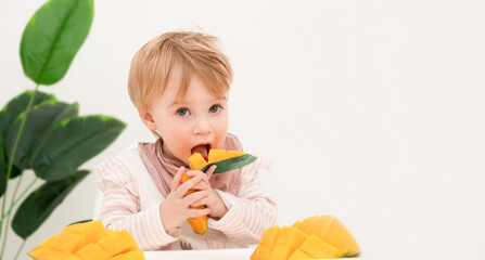 Cute caucasian blonde baby girl, infant,toddler,child eat fresh exotic, tropical fruit mango, at high chair on white background near green plant indoors.Kid has lunch,meal.Healthy food.Copy space