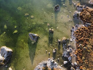 autumn on lake Altausseer See in the Salzkammergut in Austria