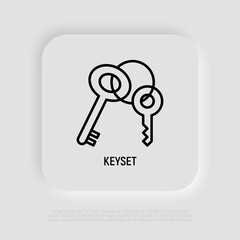 Keyset thin line icon, symbol of security and protection. Modern vector illustration.