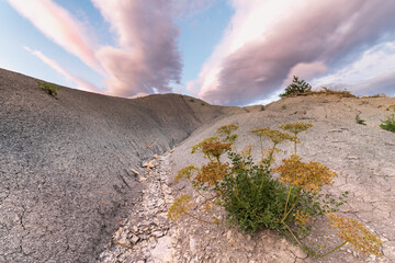 Colorful clouds above a landscape of Provence in the Drome.