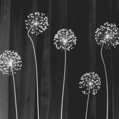 Dry onion inflorescences shaped like a coronavirus