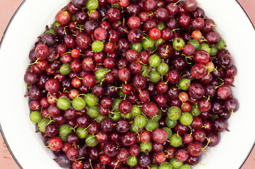 Ripe red and green gooseberries in a white basin
