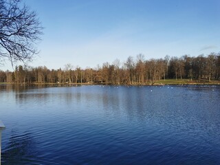 late autumn in Gatchina Park fallen leaves cold water