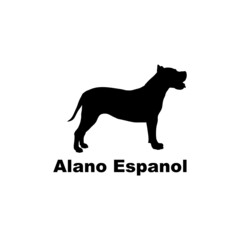 alano espanol