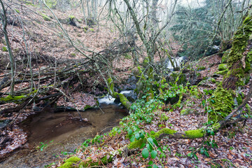 Arroyo de la Dehesa. Somosierra. Madrid. España. Europa