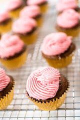 Chocolate raspberry cupcakes