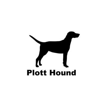 Plott Hound