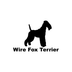wire fox terrier