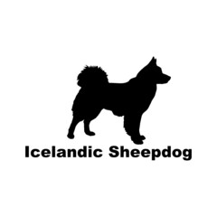  iclandic shipdog.