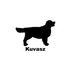  kuvazs.
