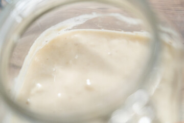 Sourdough starter