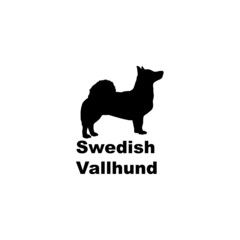 swedish vallhund