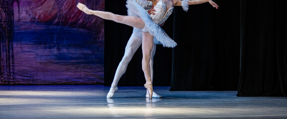  Closeup of ballerinas dancing © Ruslan