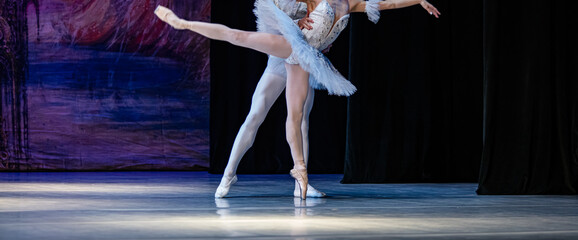  Closeup of ballerinas dancing