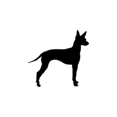 Dog silhouette. Breeds