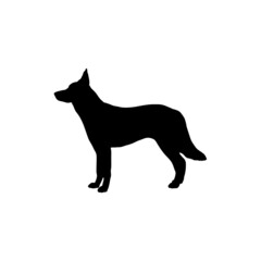 Dog silhouette. Breeds