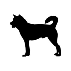 Dog silhouette. Breeds