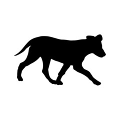 Dog silhouette. Breeds