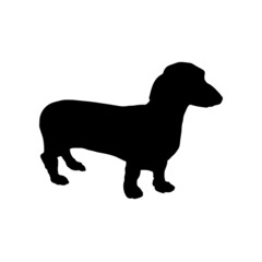 Dog silhouette. Breeds