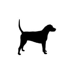 Dog silhouette. Breeds