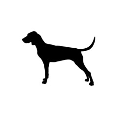 Dog silhouette. Breeds
