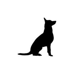 Dog silhouette. Breeds