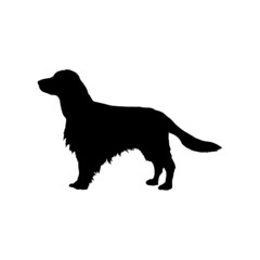 Dog silhouette. Breeds