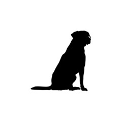 Dog silhouette. Breeds