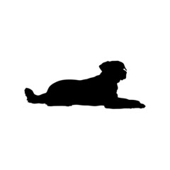 Dog silhouette. Breeds
