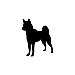 Dog silhouette. Breeds