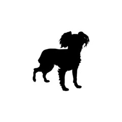 Dog silhouette. Breeds