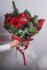 A woman holds in her hands a large and beautiful winter bouquet with amaryllis, fir branches, alstroemeria