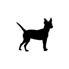 Dog silhouette. Breeds