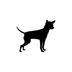 Dog silhouette. Breeds