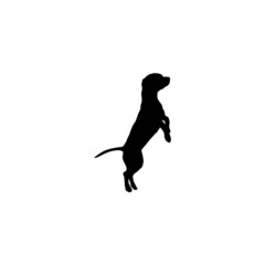 Dog silhouette. Breeds