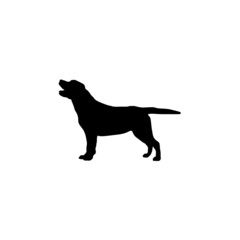 Dog silhouette. Breeds