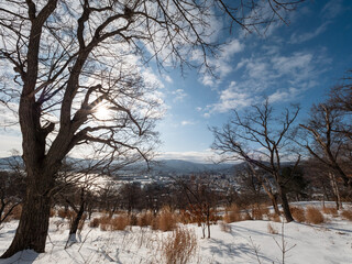 冬の小樽市手宮公園から見下ろした小樽市街地