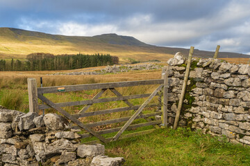 Whernside fron near Ellerbeck above Chapel le Dale in thye Yorkshire Dales