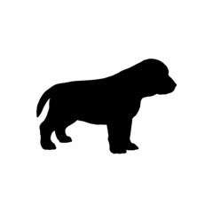 Dog silhouette. Breeds