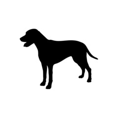 Dog silhouette. Breeds