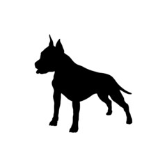 Dog silhouette. Breeds