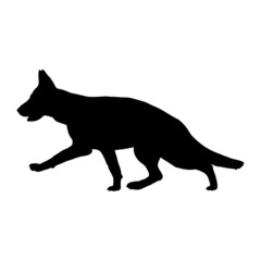 Dog silhouette. Breeds