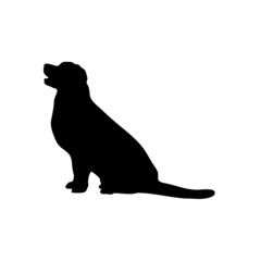 Dog silhouette. Breeds