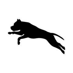 Dog silhouette. Breeds