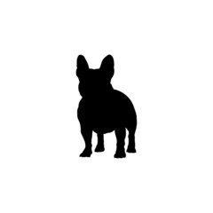 Dog silhouette. Breeds