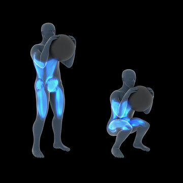 3d Illustration of Globet Squat Wallball Workout