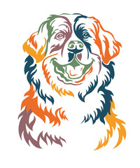 Bernese mountain dog vector color contour portrait vector