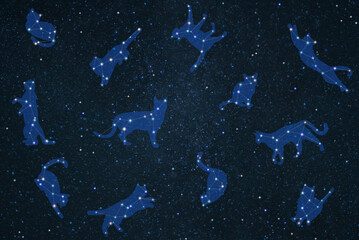 Constellations of cats in the starry sky © Freyja