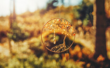 Ornamental flower of life in nature.